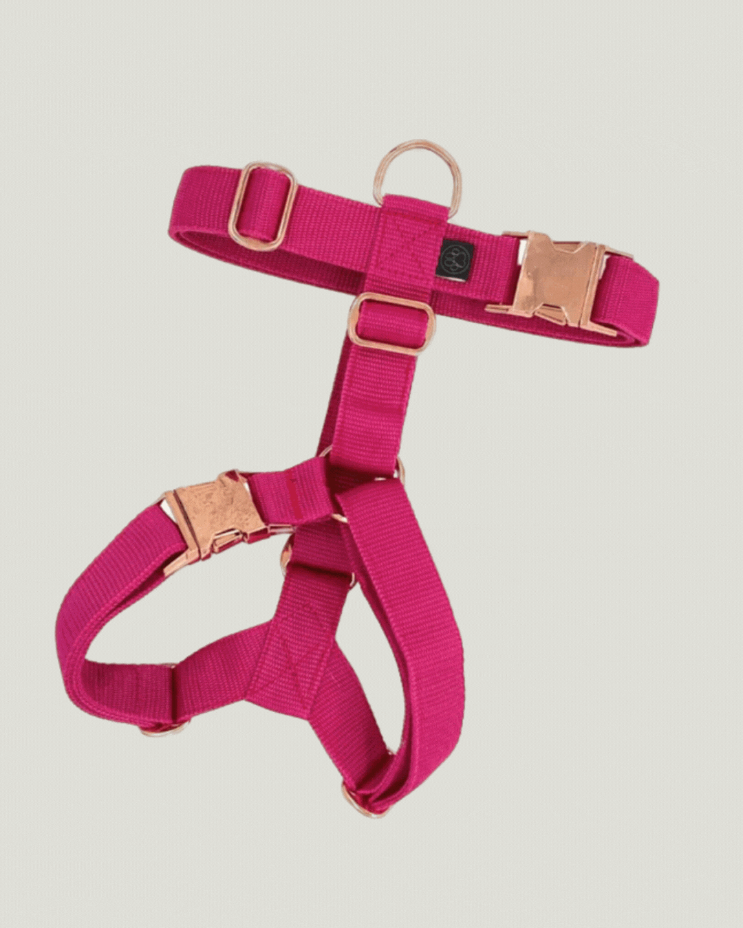 pawFIVE – Hunde Geschirr |Easy Open|