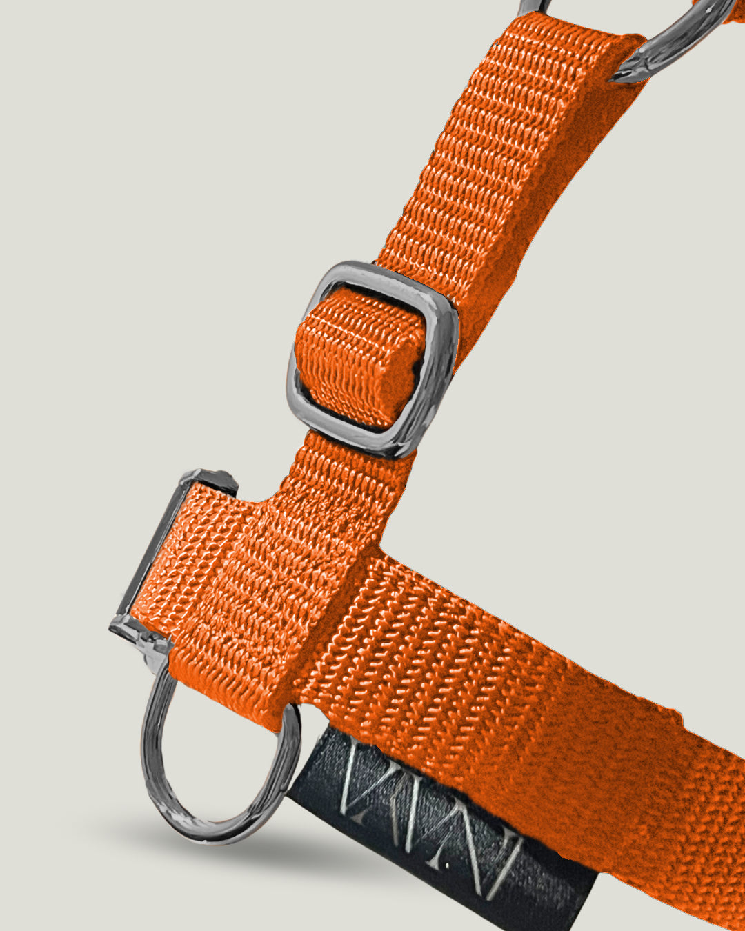 pawINAYA® 5- zones dog harness
