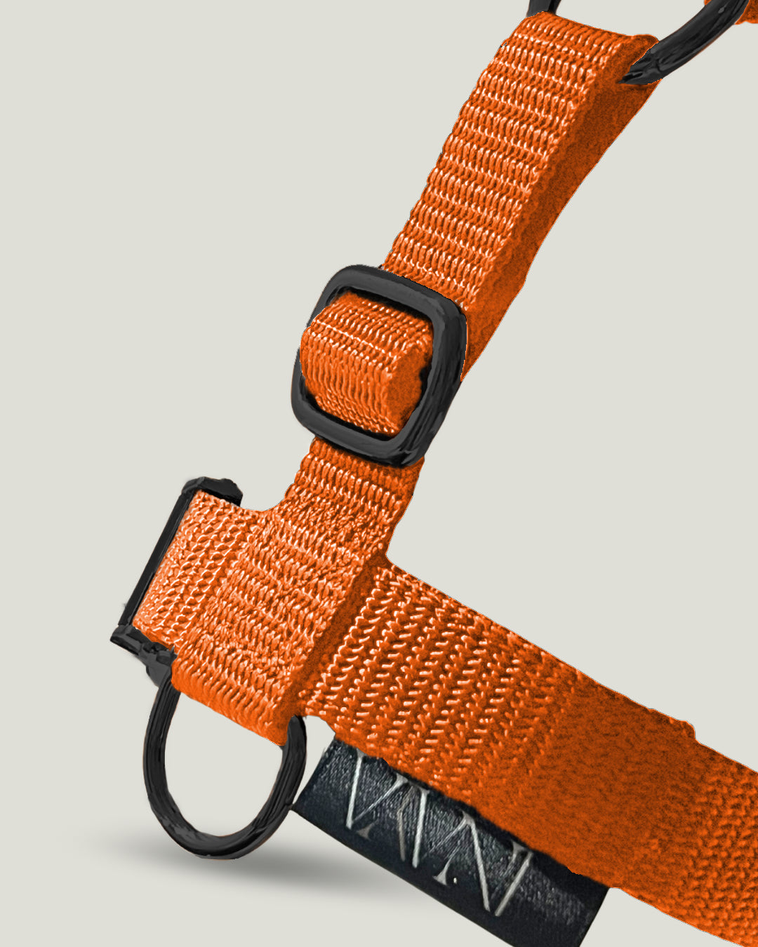 pawINAYA® 5- zones dog harness