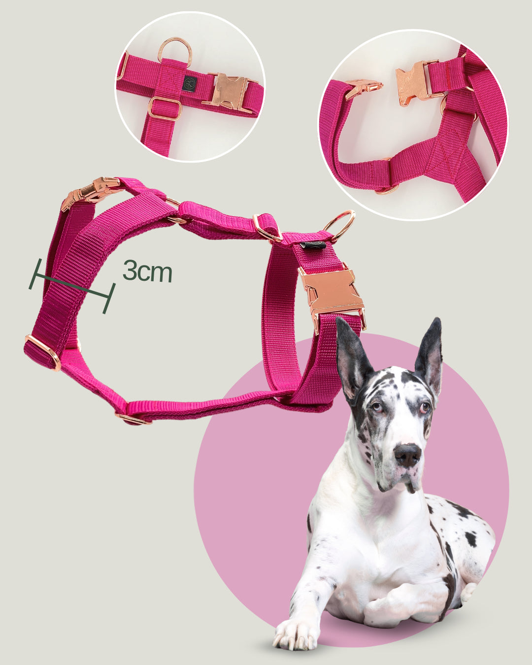 pawFIVE – Hunde Geschirr |Easy Open|