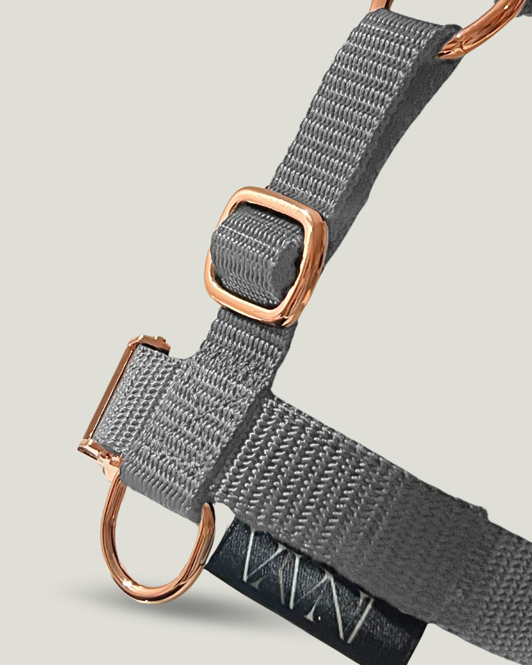5-zones cat harness