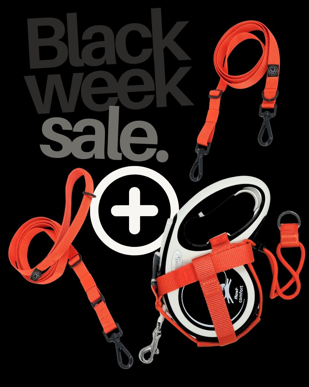 BLACK DEAL ONE | Halfter Set + The 2.0 Leine