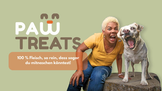 pawTreats: Warum 100 % Fleisch-Leckerlies die beste Wahl für deinen Hund sind