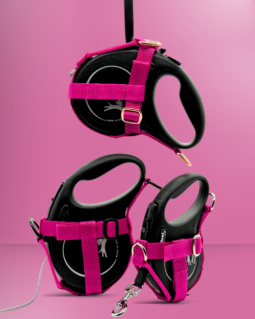 Pink Halfter für Flexi-Rollleinen – kompatibel mit Flexi New Classic S, M und L. Ideal für sicheres, freihändiges Gassigehen mit kleinen und mittelgroßen  und großen Hunden. Hochwertiges Hundeleinen-Zubehör aus robustem Nylon mit Metallringen – einfach zu befestigen, perfekt für Spaziergänge, Training und Outdoor. pawINAYA® Original.
