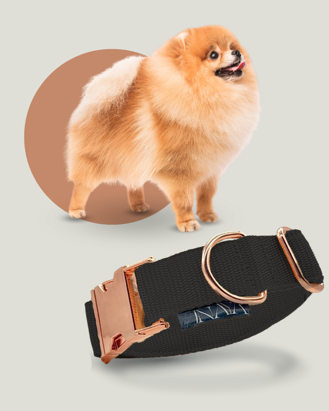 sehr leichtes hunde Halsband für kleine hunde mit metal rosè golder hardware elegant 