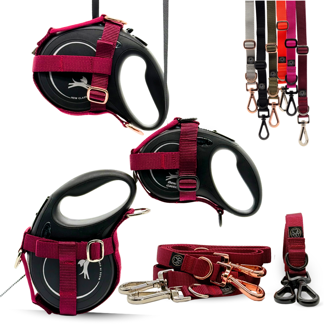 Halfter inkl. 3in1 Leine (Schwarz)