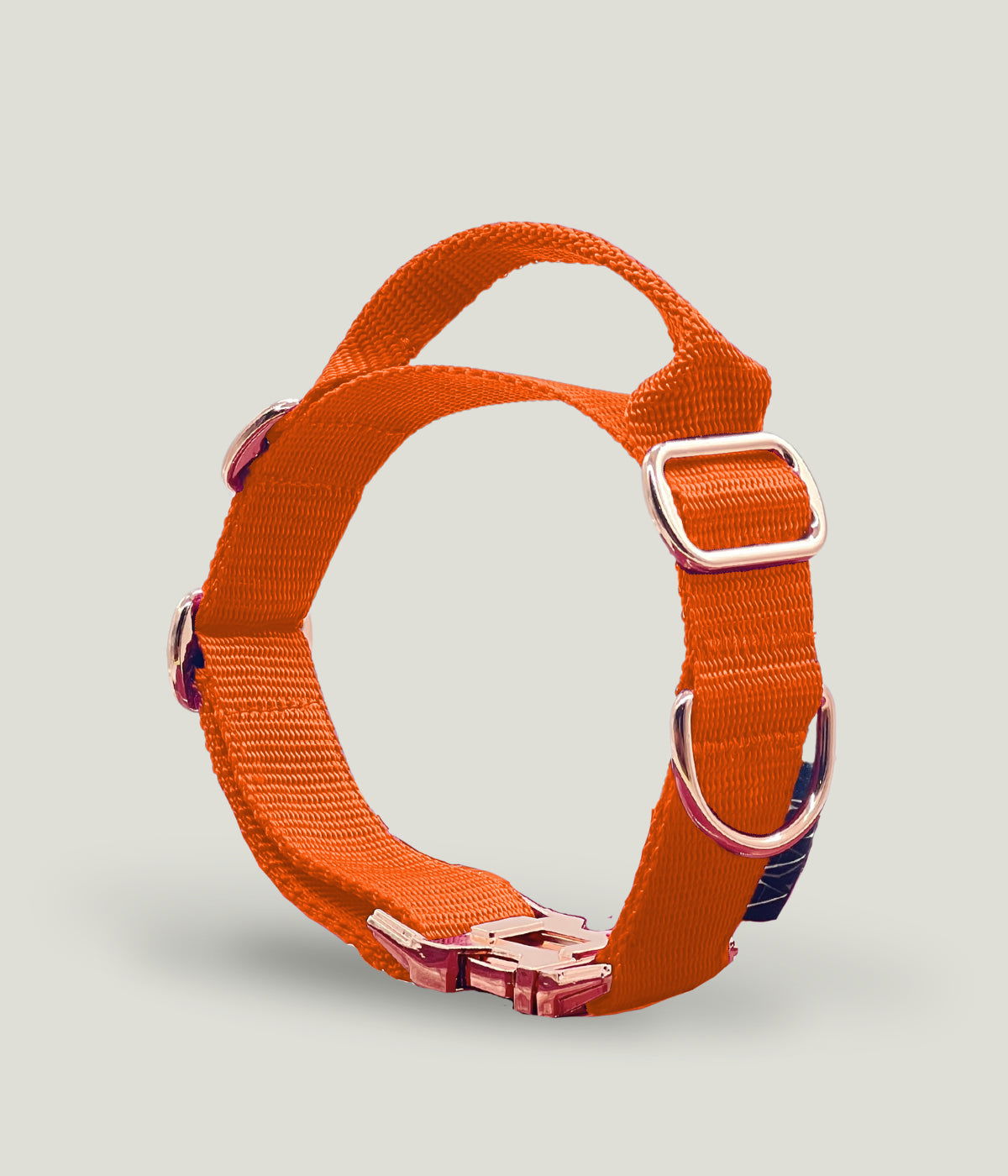 Flexi leine pawINAYA®  Halsband mit Griff - 3cm BREIT - - Hundeleine Schleppleine Halsband Hundegeschirr