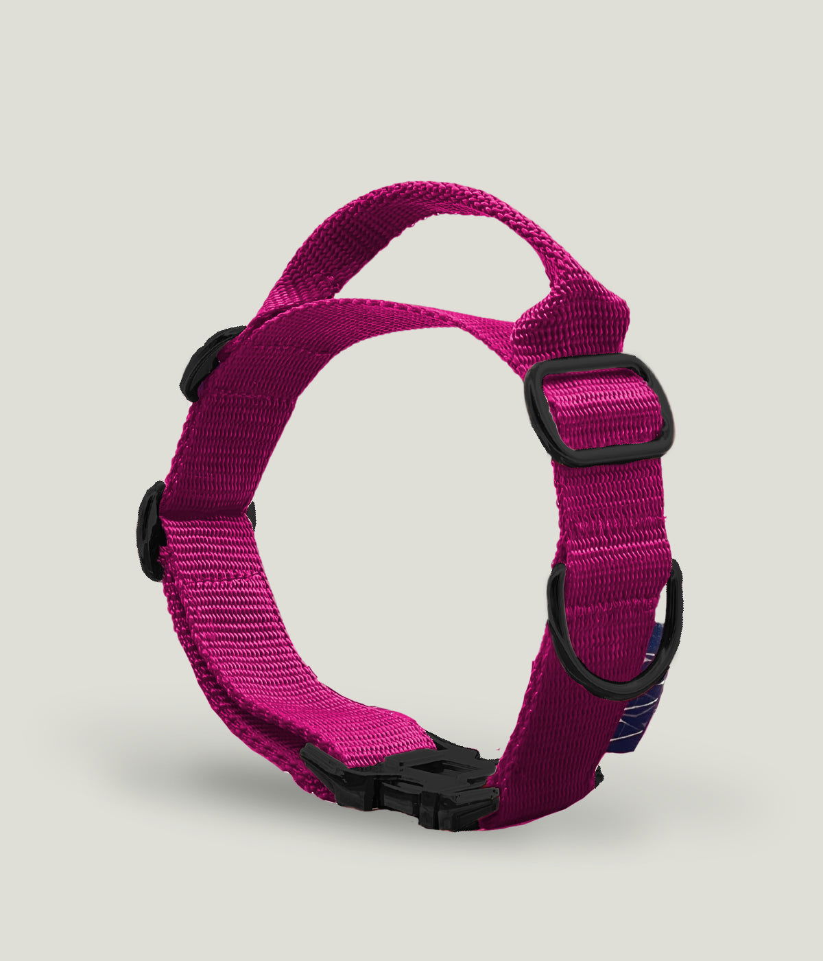 Flexi leine pawINAYA®  Halsband mit Griff - 3cm BREIT - - Hundeleine Schleppleine Halsband Hundegeschirr
