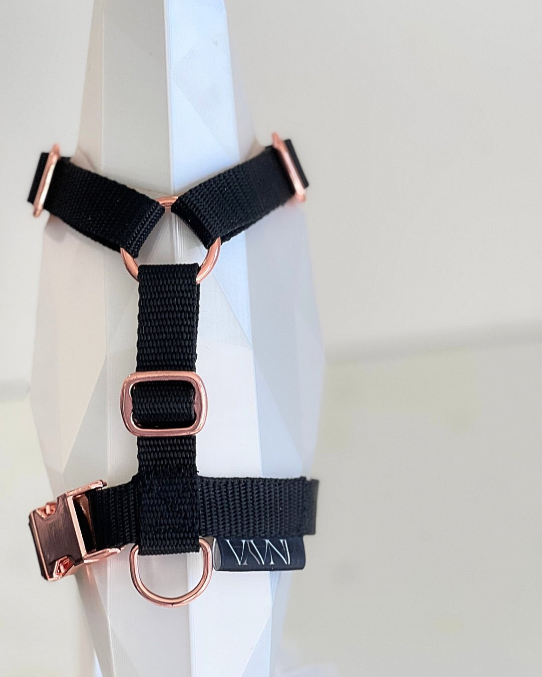 pawINAYA® cat harness