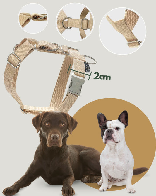 B2B - Hundegeschirr - 2cm -