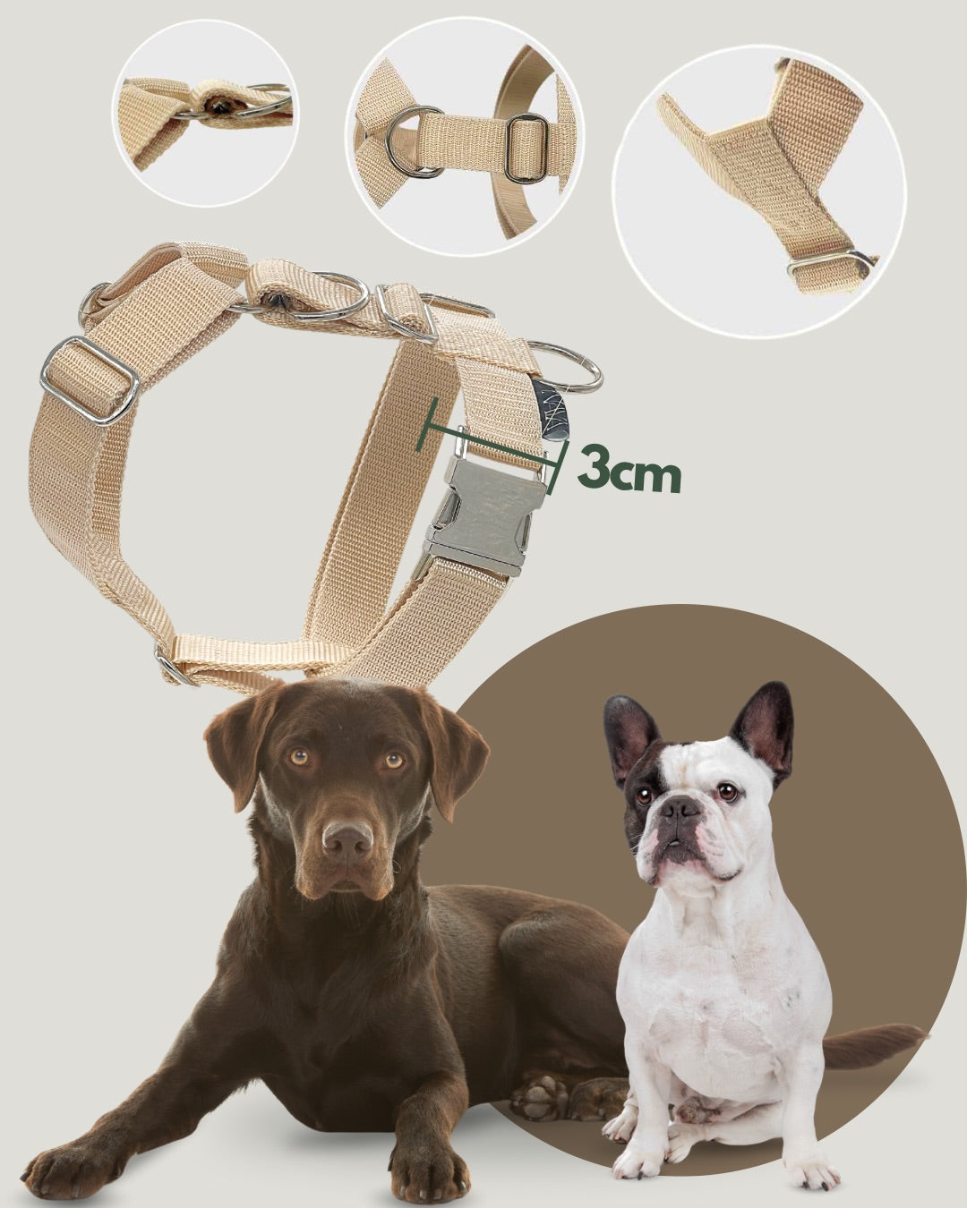 Dog harness - 3cm -