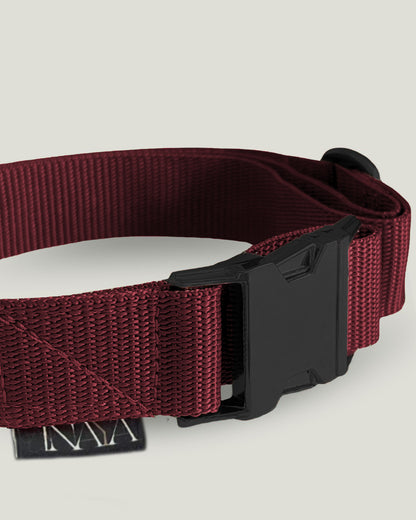 pawINAYA® Belt