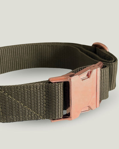 pawINAYA® Belt