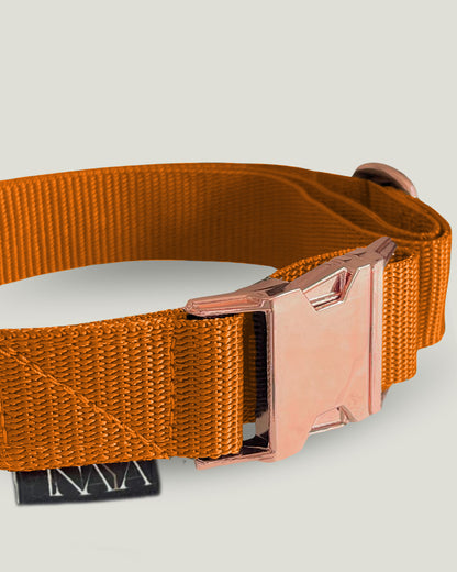 pawINAYA® Belt